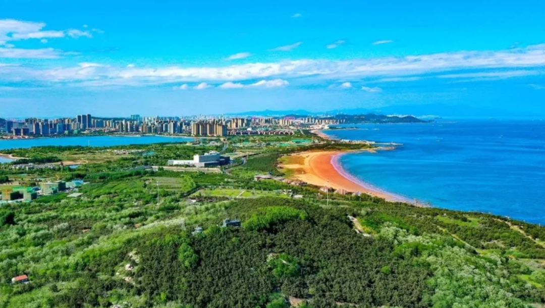 唐岛湾国家湿地公园.西海岸新区供图