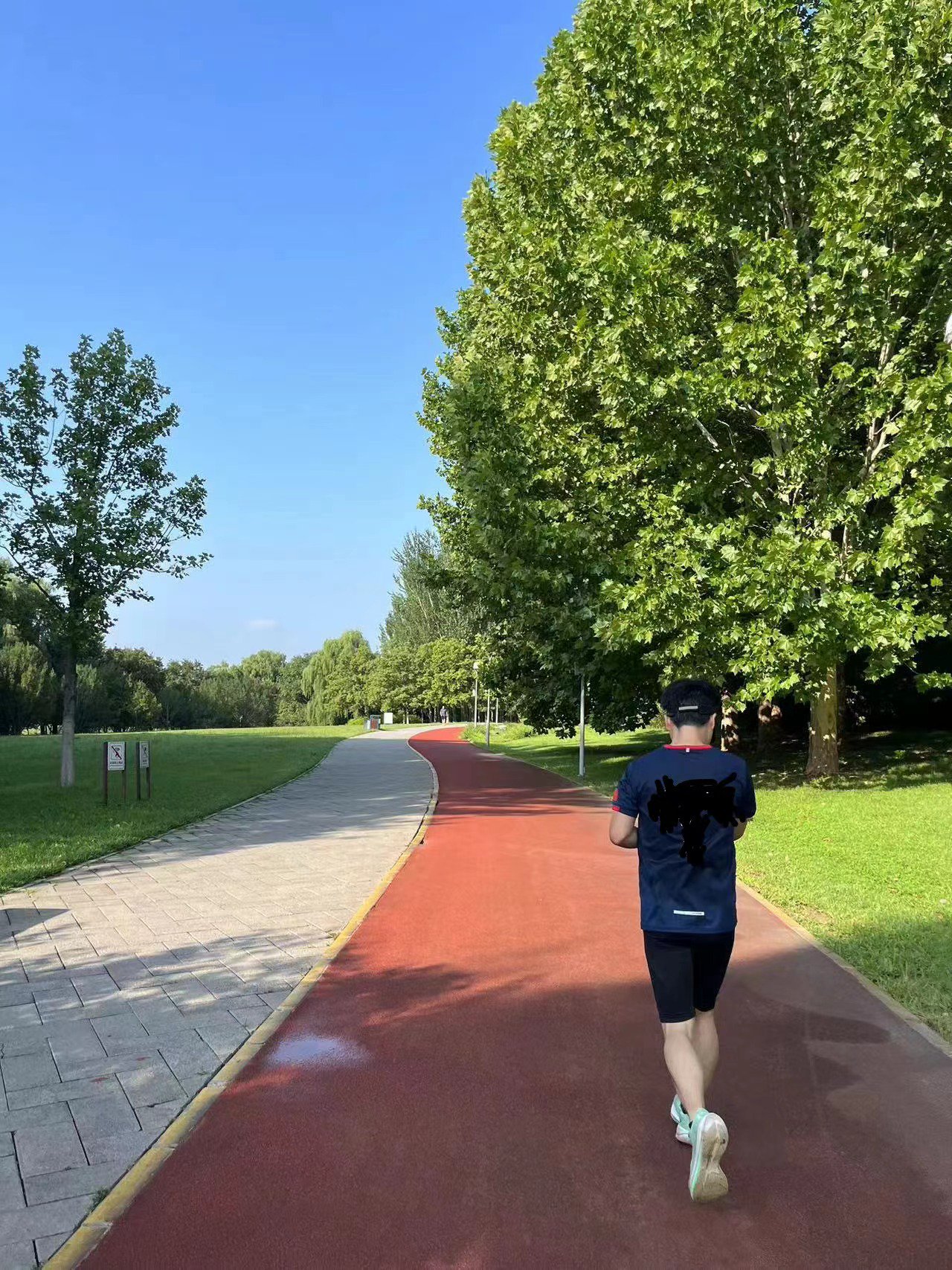 杨汶在奥林匹克森林公园跑步