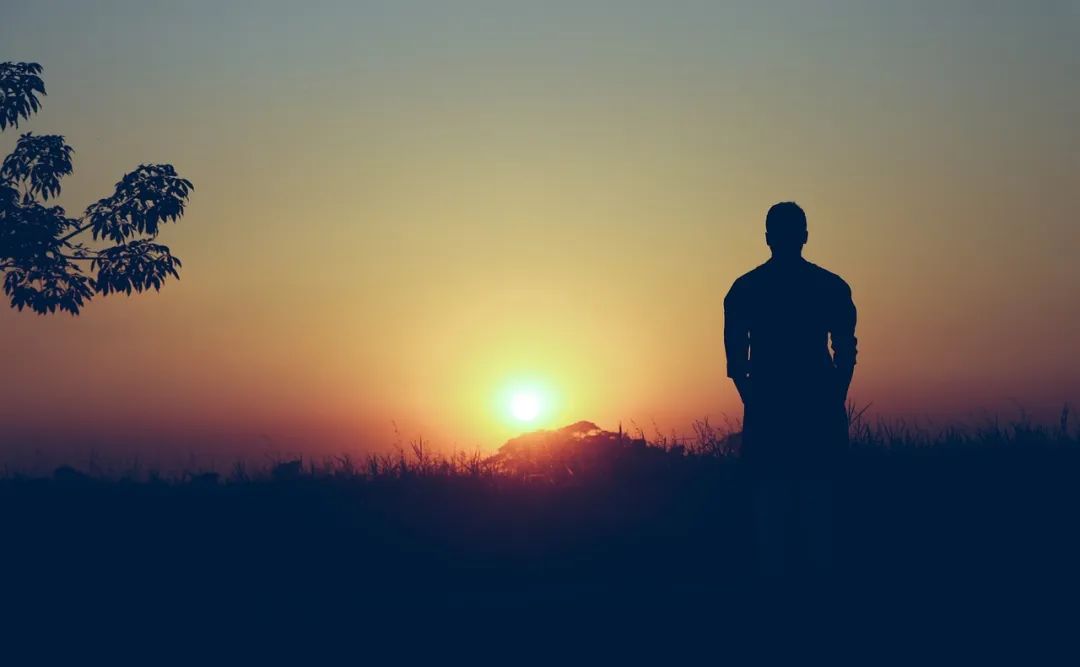 (图源:pixabay)