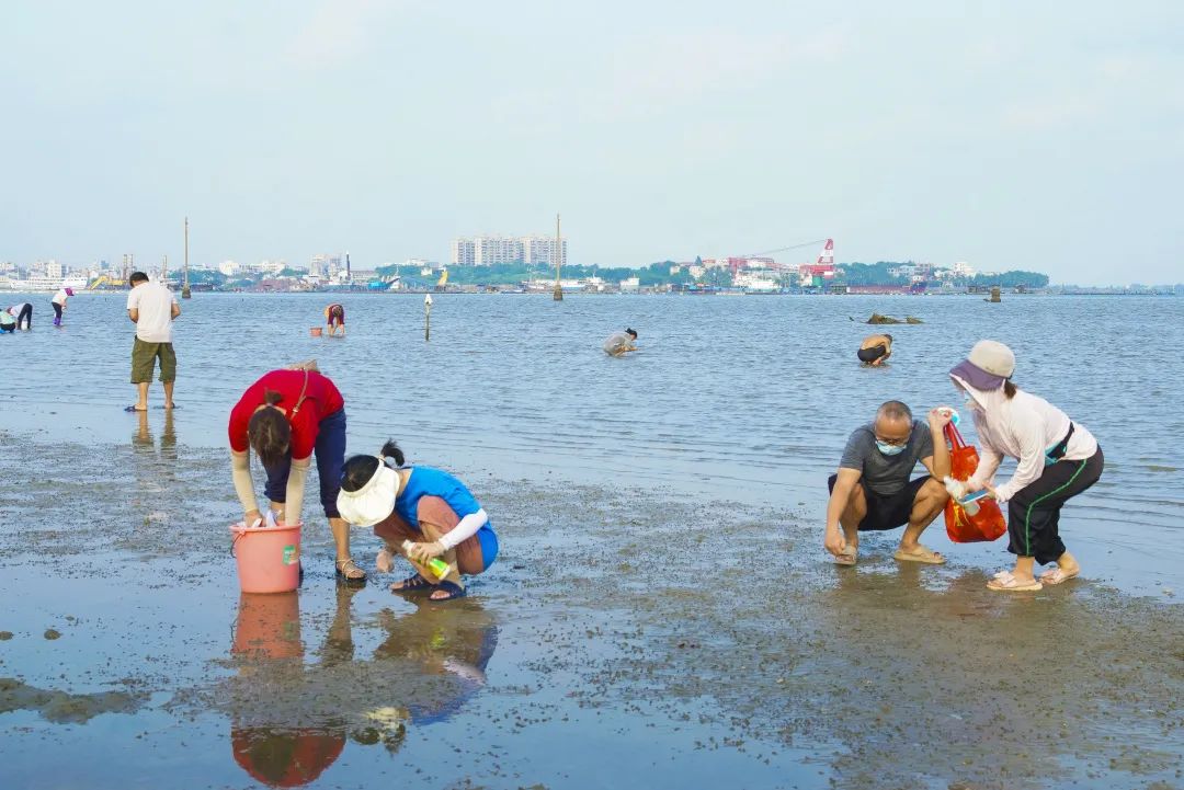 海口这个独特小渔村,被《经济日报》关注了