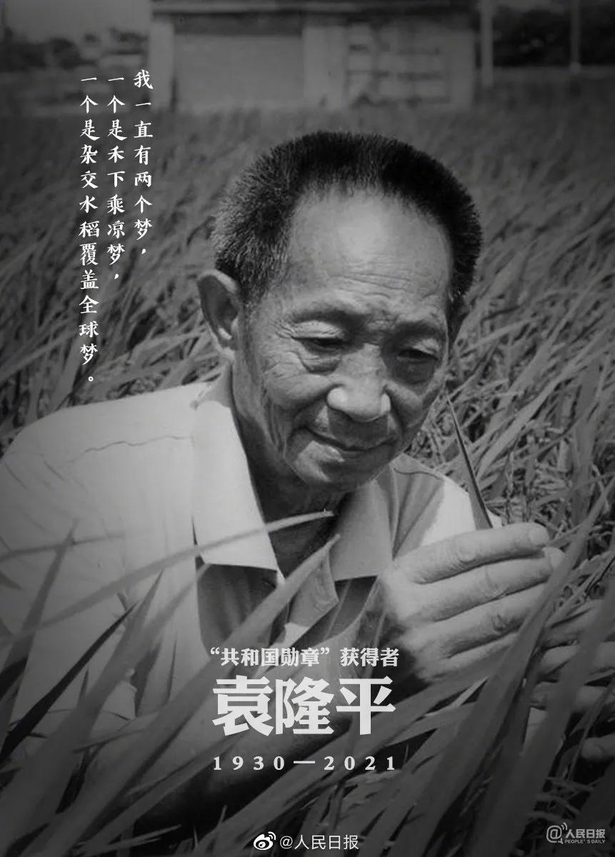 功勋| 一稻济天下 万家粮仓足|袁隆平的梦_新浪财经_新浪网