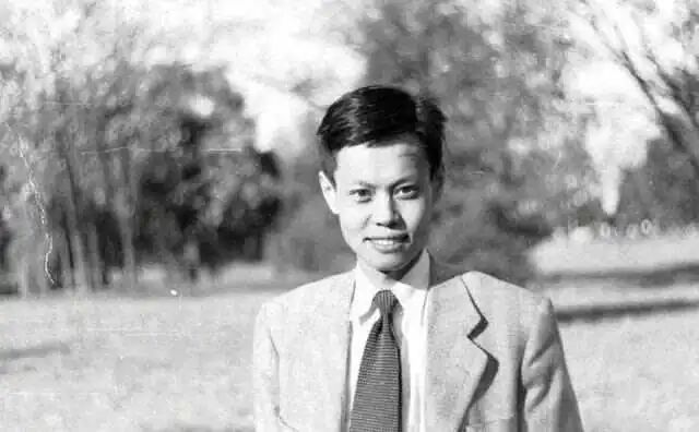 青年杨振宁
