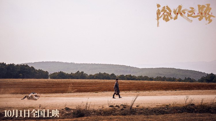 【公司实务】公司违法减资责任条款的理解与适用
