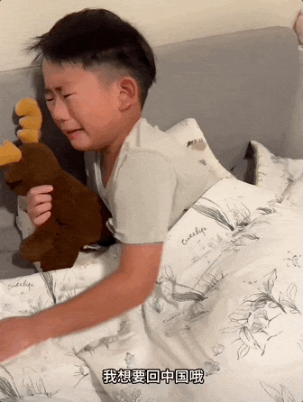       图源：@掌管符号和闪电的牛角包      