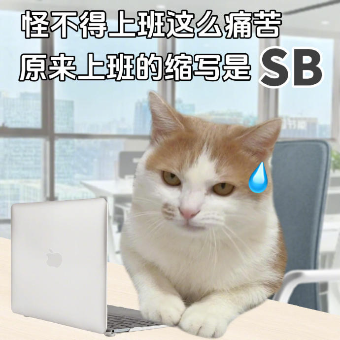 你以为今天是周五，其实今天是周四|_新浪娱乐_新浪新闻