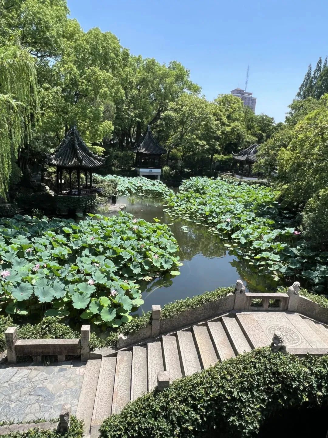 荷花池石鼓文书艺苑石鼓文书艺苑位于曲水园西北部,是展览石鼓文及