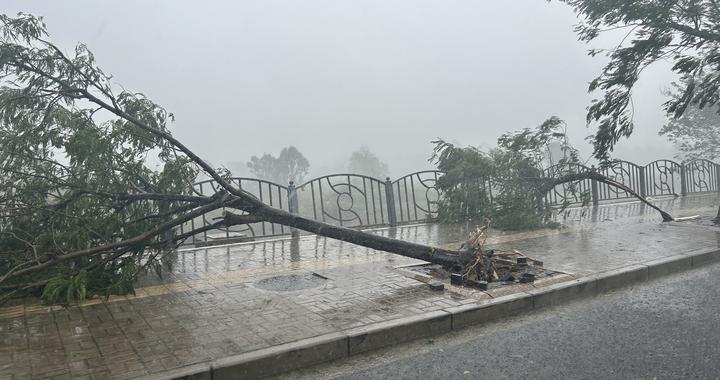 台风“贝碧嘉”登陆上海 多地交通受到影响|上海市|台风|江苏省_新浪新闻