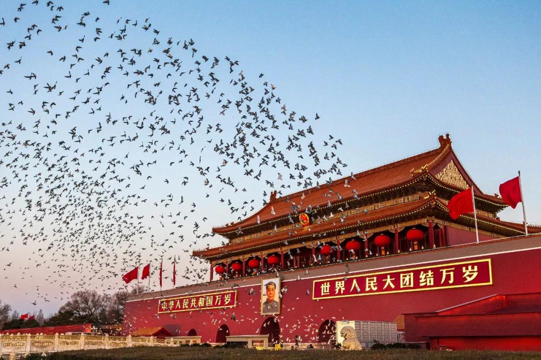 北京天安门广场放飞和平鸽