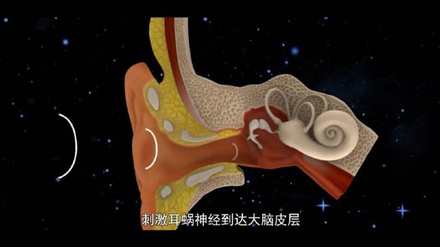 从发声原理看,听障者如何学习说话,他们真的不容易,值得社会去关爱_新浪新闻
