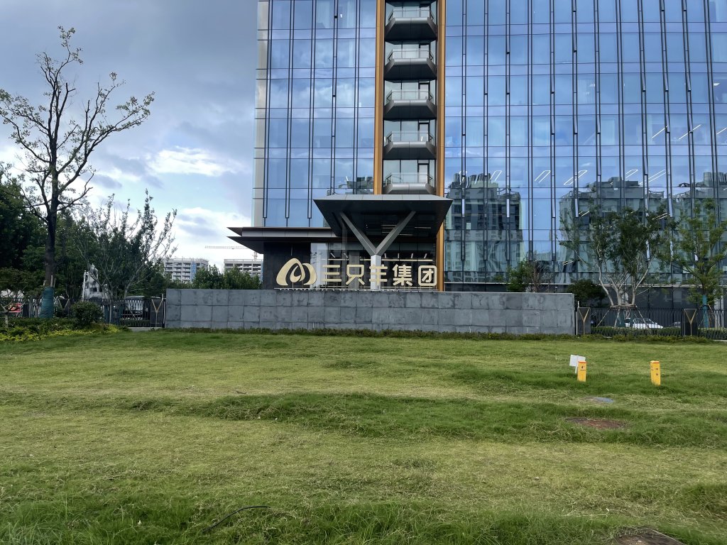 实探三只羊总部:直播间已复播,停车场停满,地方曾派工作组指导合规经营|停车场|合肥市|直播_新浪新闻