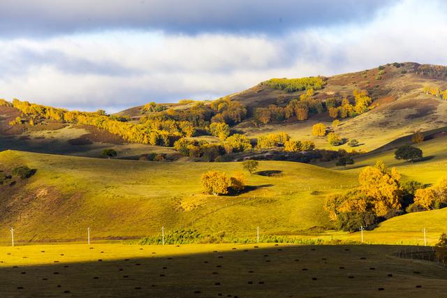 内蒙古赤峰:乌兰布统草原迎来最佳观赏季