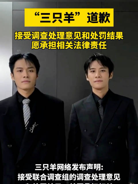 三只羊回应被罚:将全面开展公司内部整顿|调查组_新浪新闻
