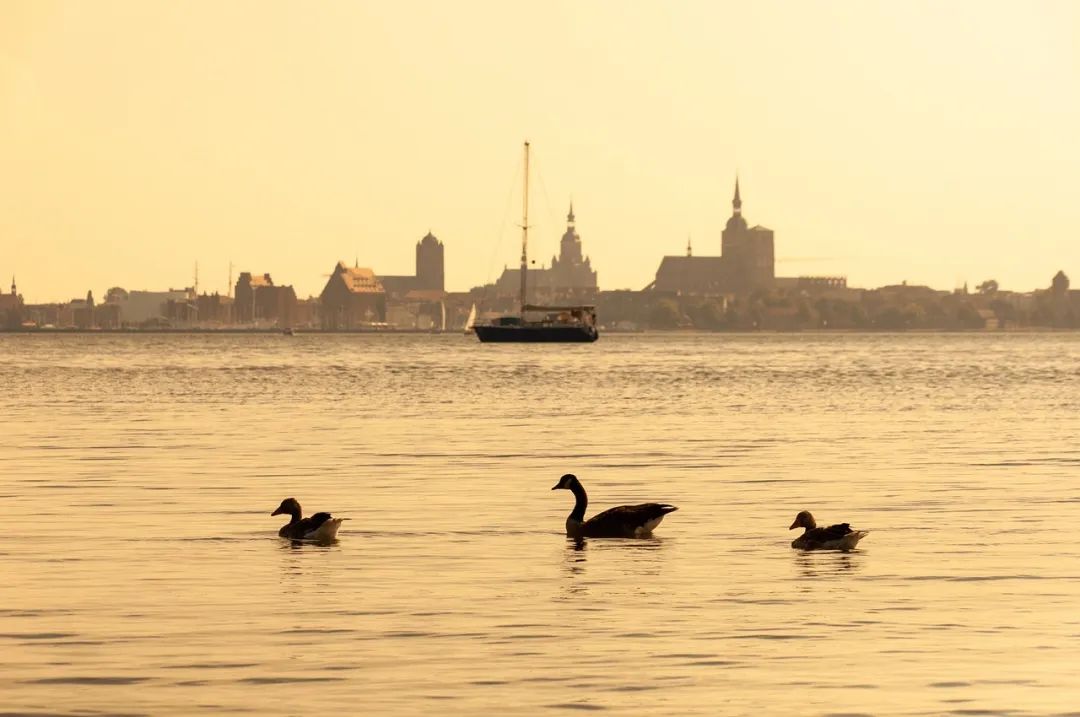 （图源：pixabay）
