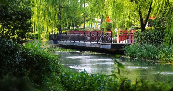 闹中取静，上海长宁西部有一个散步赏景的好去处|河道|上海市_新浪新闻