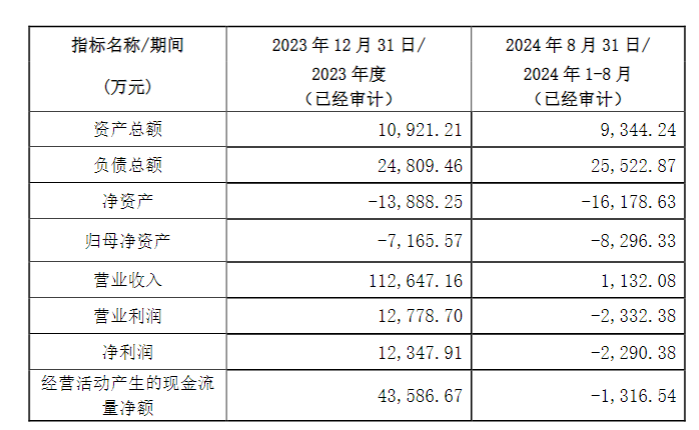 世联先锋经营情况，图源：公司公告