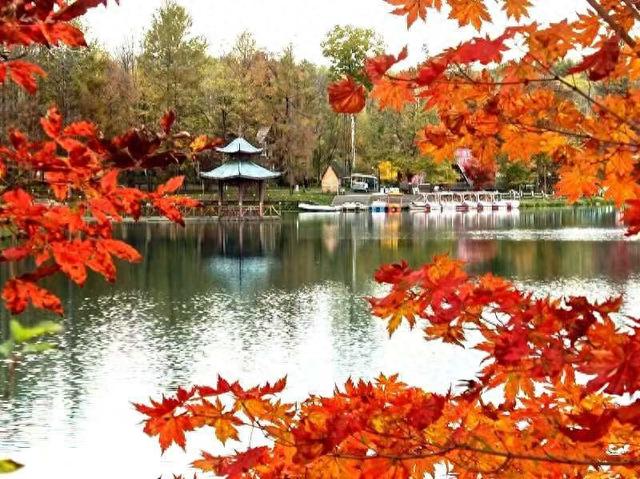 多彩吉林秋之韵|碧水映红叶 秋色惹人“醉”|长白山_新浪财经_新浪网