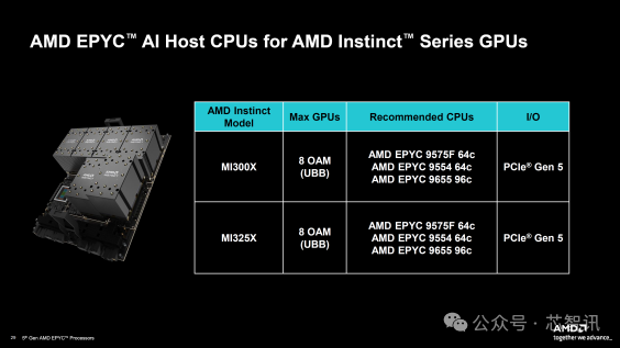 pytorch cpu 新浪网