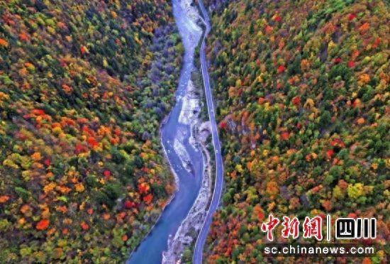 黑水县冰川彩林季将于10月18日开幕