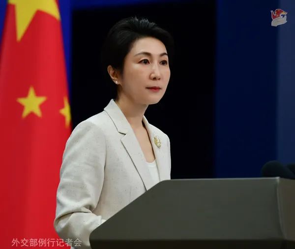 毛宁资料图。图源:外交部网站
