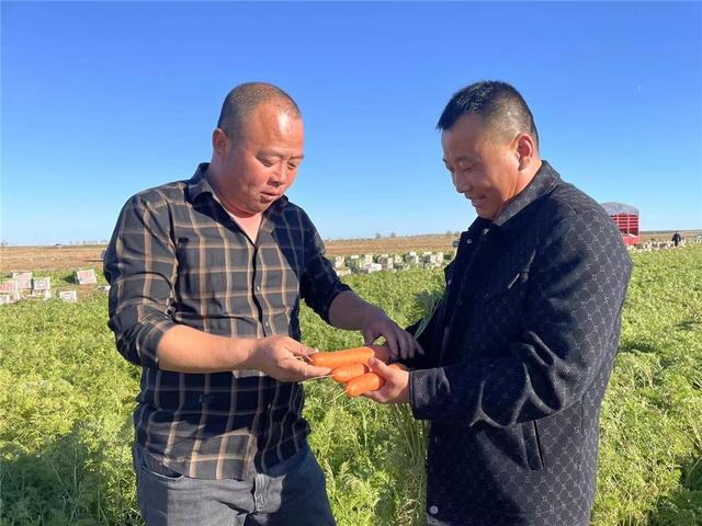 叶飞（右一）种植的胡萝卜，深受外地客商欢迎。