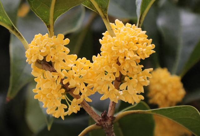 群爱人生_群爱人生小说免费阅读_群爱人生主要角色分析