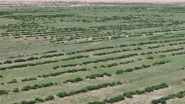 围封的草场 王泽浩 摄