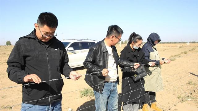 查看网围栏（王泽浩摄）