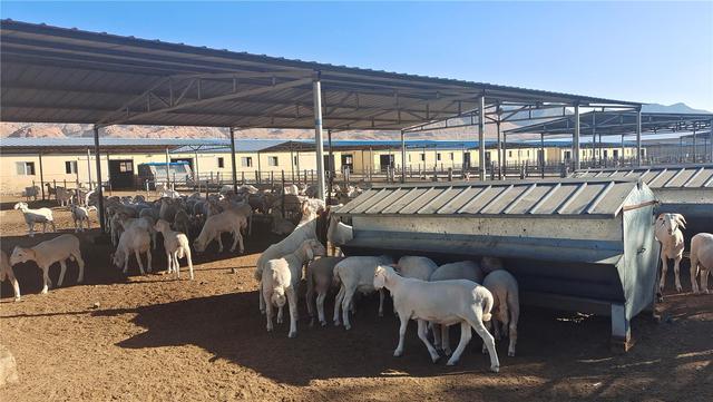 异地舍饲养殖园区