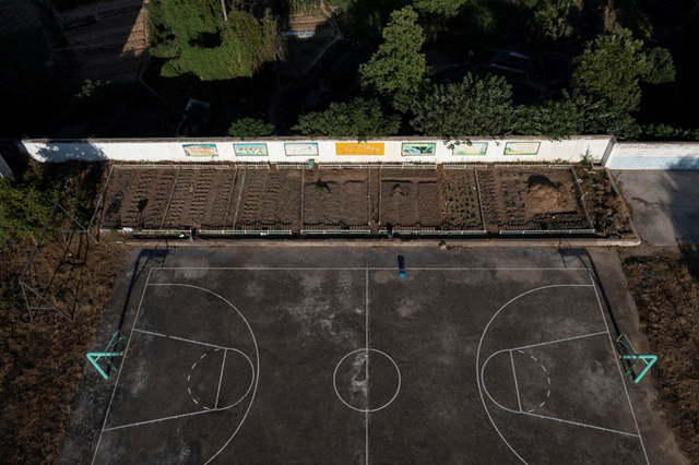 ▲ 黄土咀小学的太空种子基地，每块地都由一个年级认领。陈逸航▕摄
