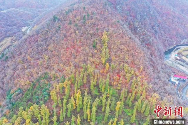 图为航拍辽宁本溪县秋色美景。（无人机照片）中新社记者 于海洋 摄