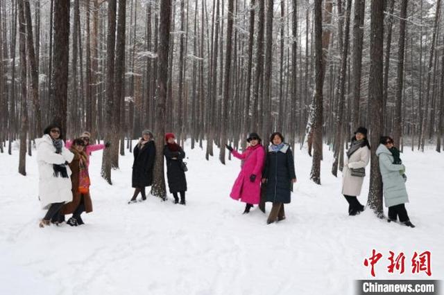 “神州北极”漠河再次迎来暴雪天气，游客在当地欣赏绝美的雪景。 邵天李 摄
