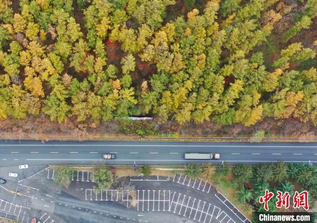 图为航拍辽宁本溪县秋色美景。（无人机照片）中新社记者 于海洋 摄