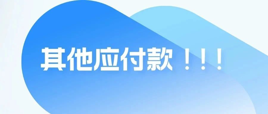 其他应付款!!!|其他应付款|应收账款|马靖昊_新浪新闻