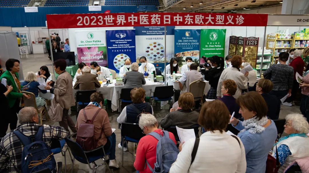 陈震在匈牙利开展义诊。受访者供图