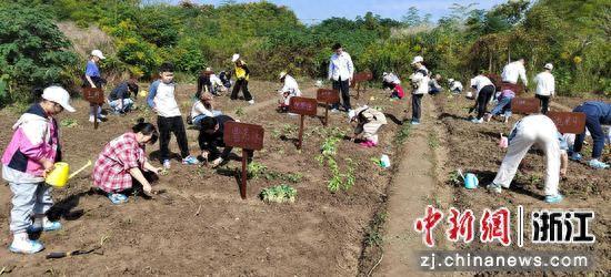 学生在“共富农场”进行应季蔬菜播种实践。主办方供图