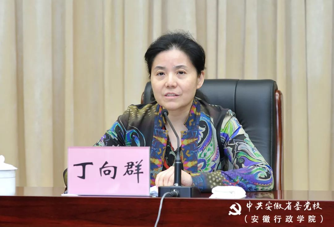 丁向群（资料图）