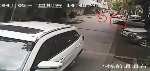 监控拍下事发时，女童出现在车辆前方道路上