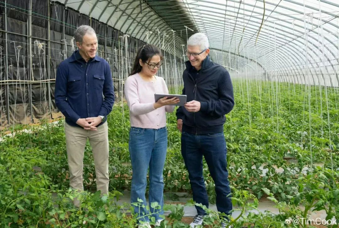 苹果公司CEO蒂姆·库克与COO杰夫·威廉姆斯到访北京一有机农场