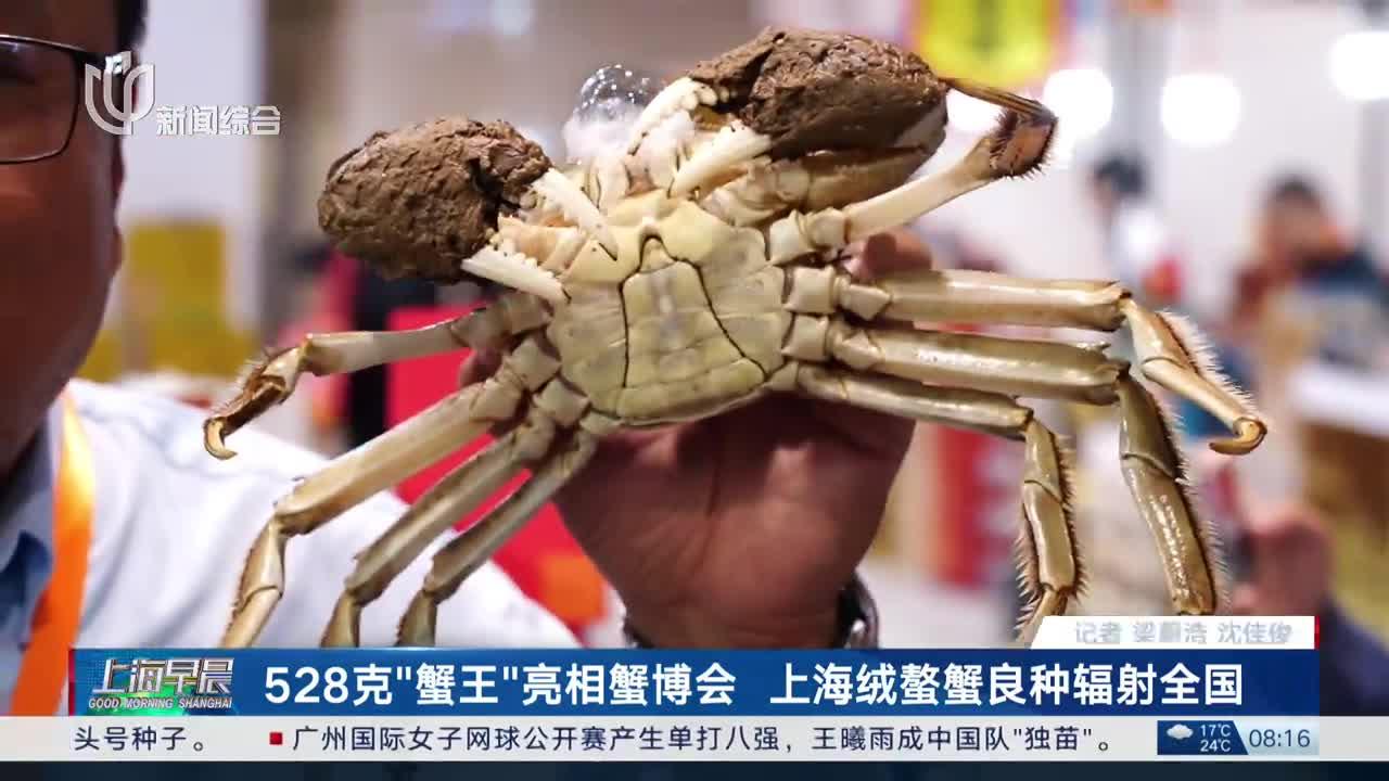 528克"蟹王"亮相蟹博会 上海绒螯蟹良种辐射全国