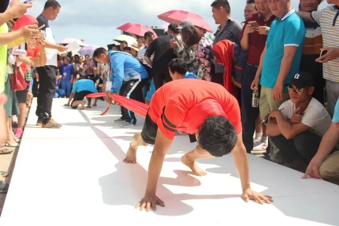 力与技的较量!来看"大象拔河"