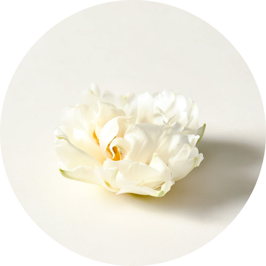 力与技的较量!来看"大象拔河"