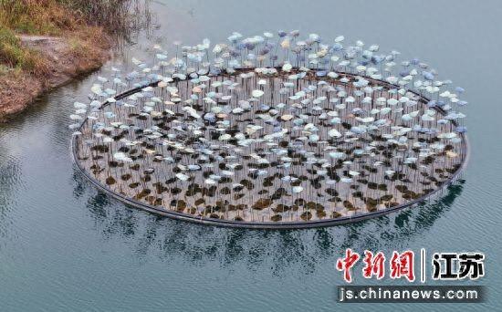 大型陶艺装置“陶潭印荷”。丁焕新 摄