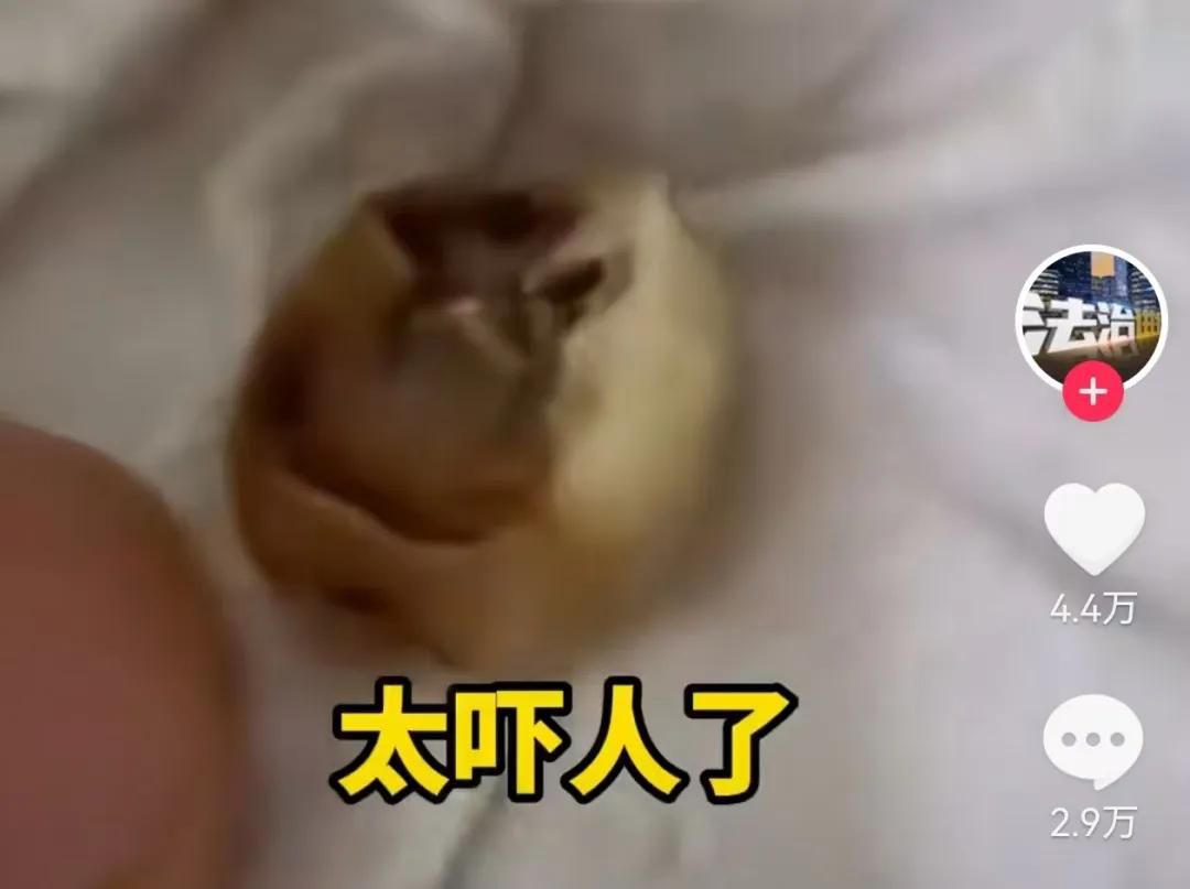 图片来源：抖音@法治进行时 截图