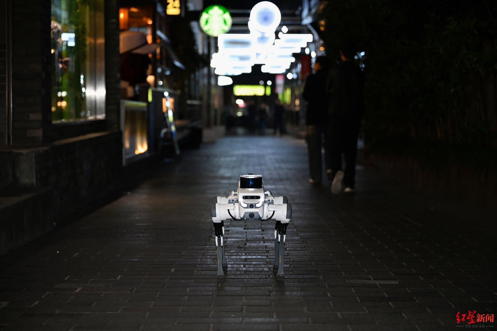 首次实践!“成都造”机器人在宽窄巷子当夜间“巡逻员”|成都市|机器狗|人形机器人|四川省|人工智能_新浪新闻