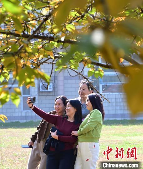 11月2日，深秋的河北省石家庄市植物园秋景如画，色彩斑斓，美不胜收，吸引众多市民和游客拍照“打卡”。中新社记者 翟羽佳 摄