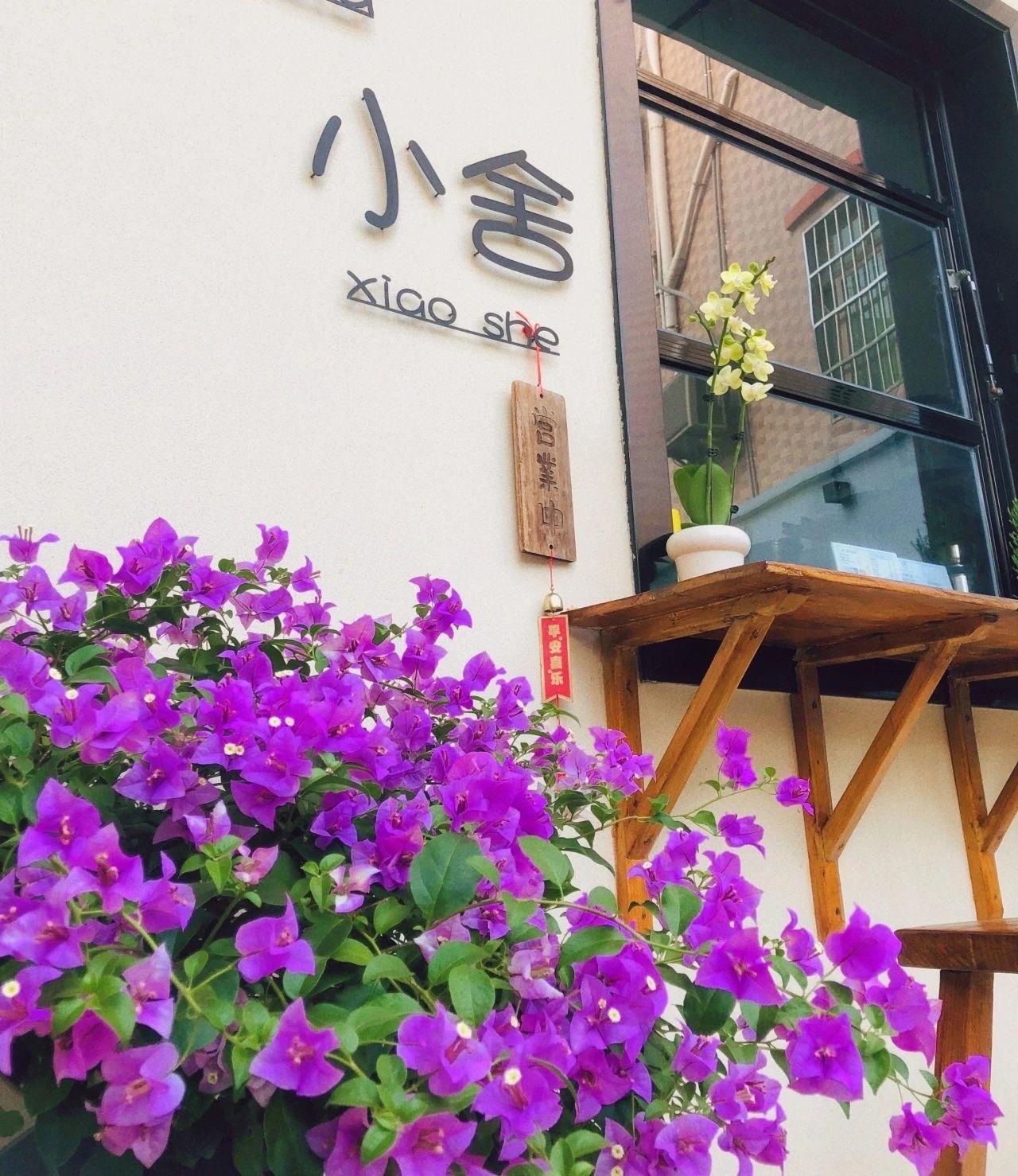 东莞寮步:守护山水之间 绘制“绿美寮步”生态画卷|广东省_新浪新闻