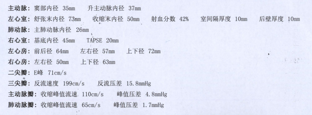 图4：患者治疗后的心脏彩超