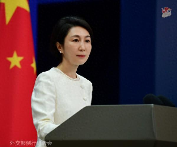 毛宁贵府图。图源:酬酢部网站