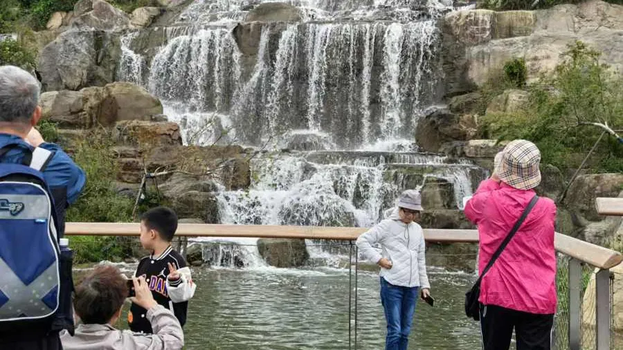 本文均为 上观新闻 图