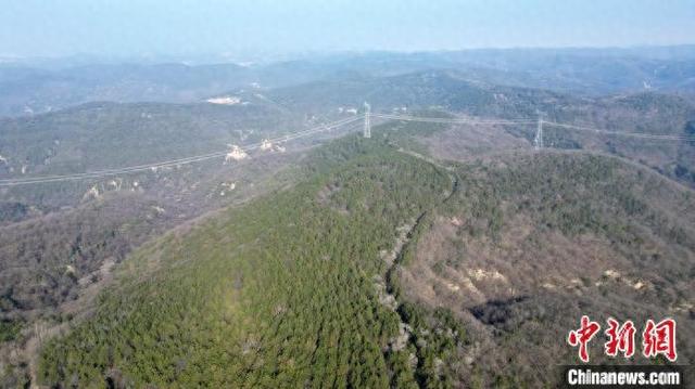 11月8日,航拍地处合水县子午岭腹地的世界上最早的"高速公路"秦直道.